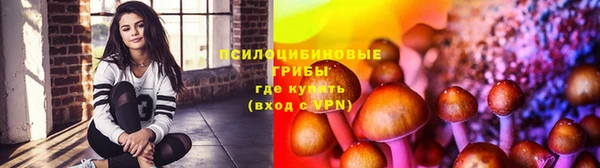 меф Ахтубинск