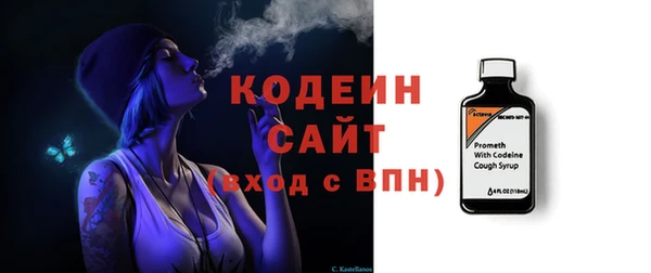 крисы Анива